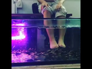 adriana chechik gives a foot massage with fish milf